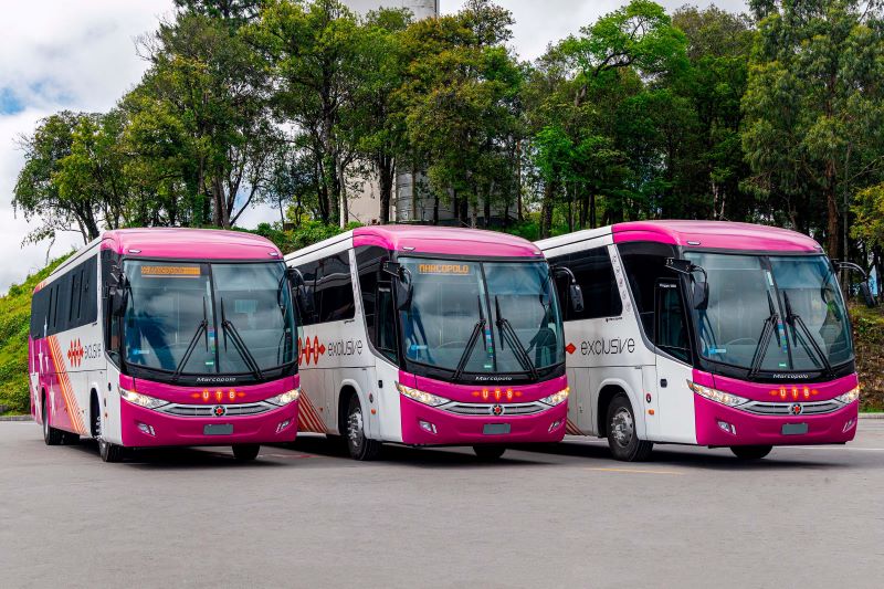MARCOPOLO fornece ônibus para a Copa das Nações Africanas 